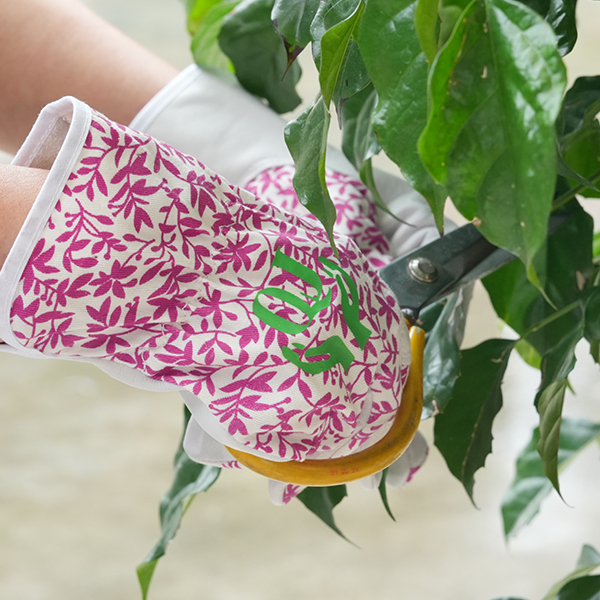 Gants de jardin